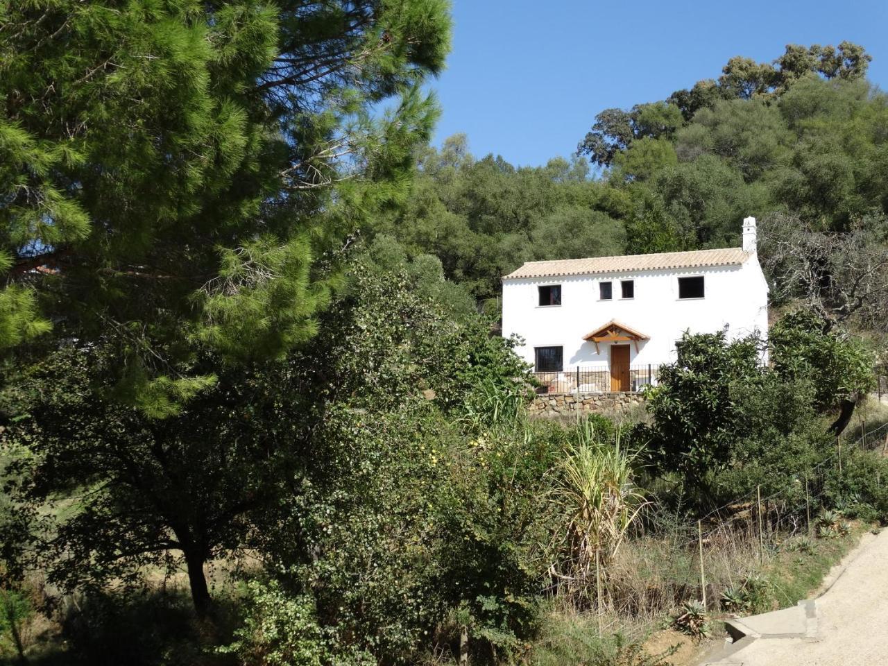 Appartamento Rural El Lario Alcalá de los Gazules