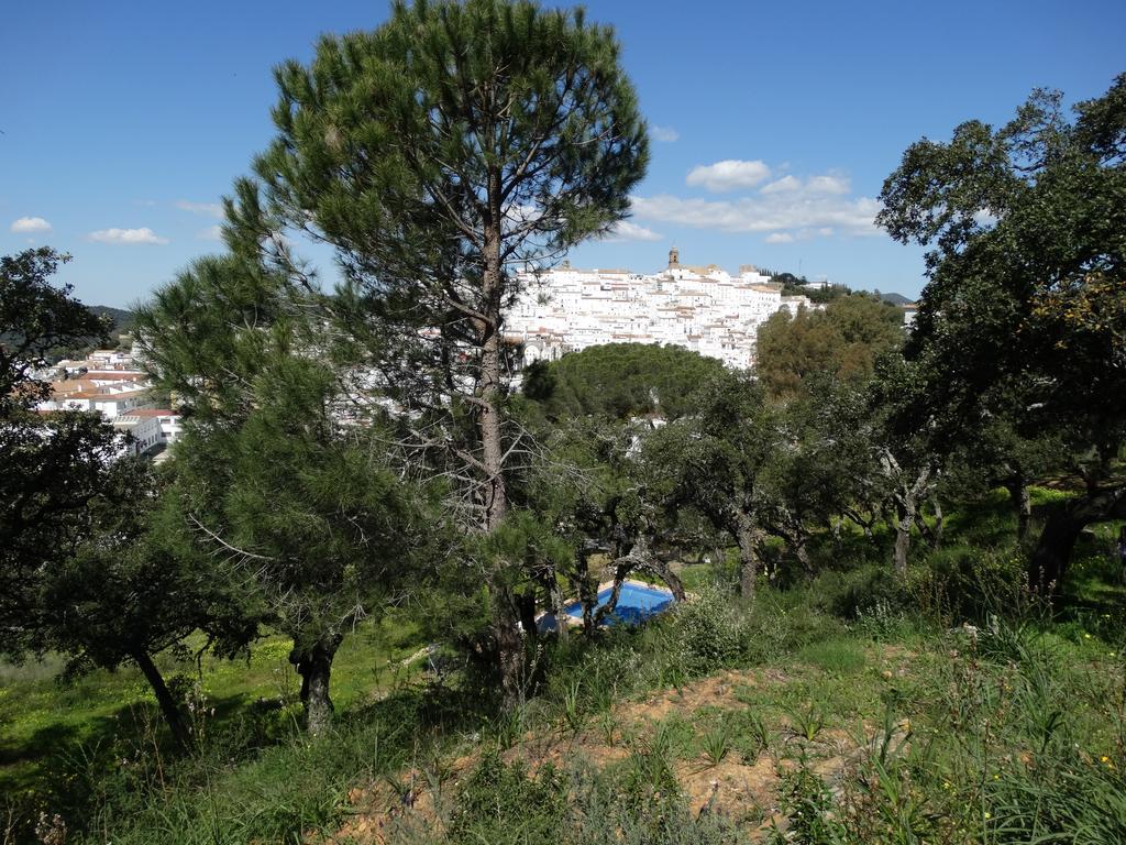 Alojamiento Rural El Lario * Alcala de los Gazules