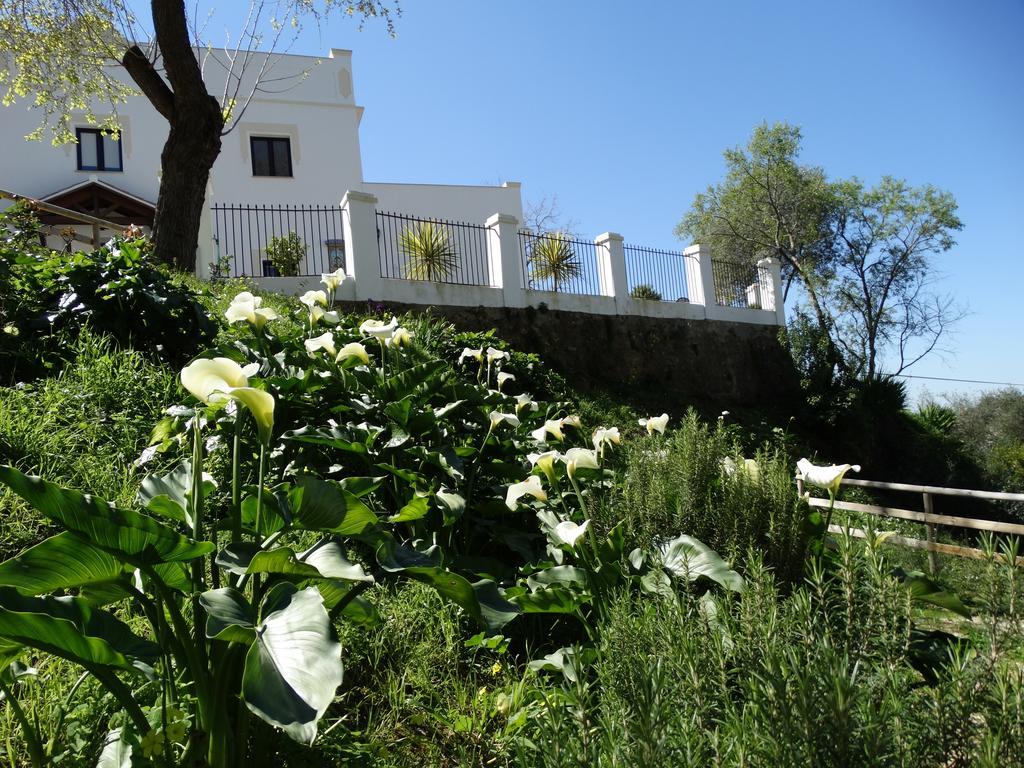 Apartment Alojamiento Rural El Lario Alcala de los Gazules
